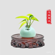 🚓Solid Wood Root Carving Stone Head Slotted round Base Teapot Vase Bonsai Buddha Statue Crafts Decoration Display Stand