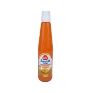 Sirup ABC / Squash Delight / Sirup / 450ml