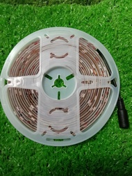 Led đuổi 5m nhiều màu RGB 12v