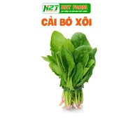 Spinach seeds are heat resistant, grow well, - h2t farm