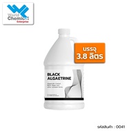 Black Algaetrine Swimming Pool Algae Remover