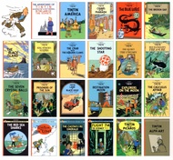 THE ADVENTURES OF TINTIN Tintin Comic Strip Books A Collection of 23 Books Set Complete Collection S