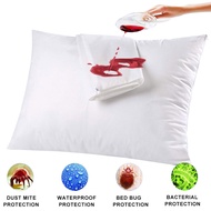 2 PCS Smooth Waterproof Pillow Protector Zipper Bedbug Proof Pillow Case Cover Queen Size/20x30inch