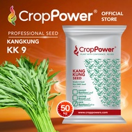 (50 KG) Biji Benih Daun Tajam Kangkung Power Sword 宝剑 KK9 CROP POWER Pointed Leaves Kangkung Seed 尖叶