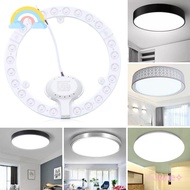 JUNE LED Module Round White 12W 18W 24W 36W Ceiling Lamp Source