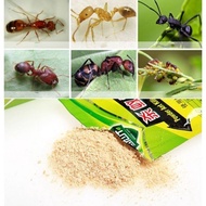 Ant and Cockroach Powder Medicine