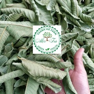 1 Kg Dried Guava Leaves, Pure Young Guava Leaves, Helps Lose Weight, Lose Blood Fat, Prevent Diabetes