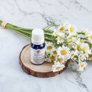 【澳洲原裝】Chamomile羅馬洋甘菊精油