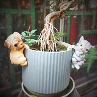 Garden Kitten And Puppy Balcony Decoration Home Outdoor