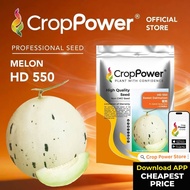 (500 SEEDS) Biji Benih Tembikai Susu Sweet Dalmation 蜜斑 HD550 CROP POWER Honey dew seeds 蜜瓜种子 HD 550