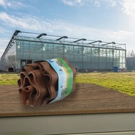 Fast ship❤️Garden Grass Lawn Edge Border Fence Path Flexible Lawn Edging Border Fence PP