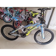 20 INCH UNITY BMX BIKE (MOTORCYCLE SPOKES)