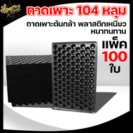 ถาดเพาะชำ 104หลุม /105หลุม/200หลุม (ยกลัง100ใบ) ถาดเพาะต้นกล้า ถาดเพาะกล้า ถาดเพาะ ถาดเพาะต้นอ่อน ถ