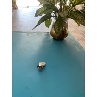 Hinges for dell e5450 laptop (disassemble)