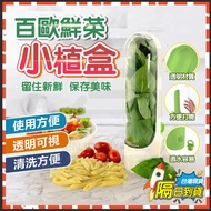 Vanilla Fresh-Keeping Box Nordic Fresh Vegetable Small Plant Pressure-Proof Storage Cup Coriander Le