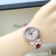 ALEXANDRE CHRISTIE WANITA AC2463 / AC 2463 ROSEGOLD RED ORIGINAL