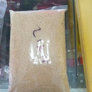 MAKANAN BURUNG KAMBU USA 2kg