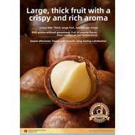 BESTORE | Milk Flavor Fresh Hawaii Macadamia Nuts 500g