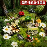 Winged insect simulation toy movable bee/cicada luminous crawling toy children's toy learning experi