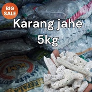 Ginger coral 5 kg ginger coral/ filter media/ filter/ aquarium filter media/ fish pond filter media/