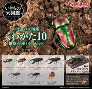 <Ohtoys> 特價 Bandai 生物大圖鑑 Repti 鍬形蟲 第10彈 連樹皮底座 全7款 昆蟲 扭蛋 模型 動物周邊 可動 Friends 食玩 盲盒 生物圖鑑 鍬形蟲 金剛鹿角 圖鑑 甲蟲