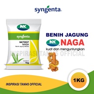 Benih Jagung NK NAGA 7207 Benih Jagung Unggul Kemasan 1 Kilo Jagung Hibrida NK Naga