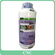 1L Zastrobin Azoxystrobin 23.0% Racun Kulat Fungicide Perlindungan Penyembuhan Protection Cure Zagro