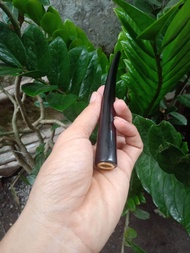 termurah once pirok kayu kelor hitam semi lengkung panjang 14cm lubang multifungsi (mild filter kret