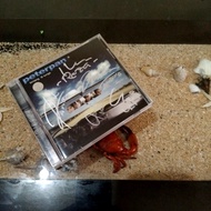 CD Peterpan - Bintang di Surga