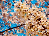APA飯店 京成上野站前APA Hotel Keisei Ueno Ekimae