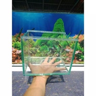 Aquarium mini ukuran 20x15x15 soliter ikan cupang