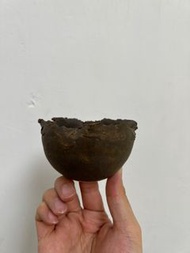 日本 安西岳郎 たけろうポット 塊根 多肉 植物盆 植木鉢 2024 款 全新 適合：象牙宮 布紋球 象足漆樹 厚敦菊