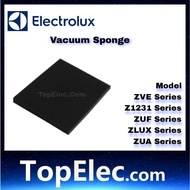 ELECTROLUX vacuum cleaner sponge Z1230 Z1231 BLACK FOAM SPONDGE VACUM SQUARE SEGI EMPAT ZLUX ZMO ZVE