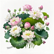 Toilet Toilet Lotus Stickers Wall Good Luck Lotus Pink Lotus Fresh Stickers Refrigerator Toilet Stic