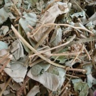 Kim Tien Thao helps diuretic, supports gallstones, kidney stones, bladder stones, diuretic, stabiliz