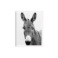 Black and White Cute Donkey Print | Retro Style Mule Photo Art Work | Cute Animal Poster Perfect For