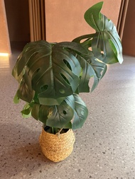 仿真龜背竹盆栽