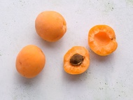 apricot fruit tree plant bonsai seeds