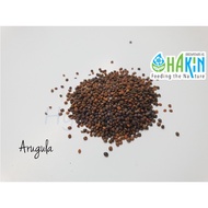 Seeds Arugula - Benih Rocket - 0.2g | 0.8g | 2.6g