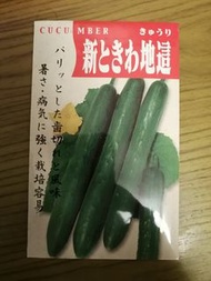 日本空運 種子 - 有 秋葵 南瓜 蕃茄  // 包本地平郵