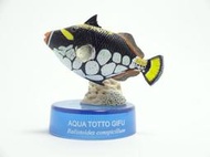 海洋堂 花斑擬鱗魨魚/小丑砲彈魚 瓶蓋扭蛋 已拆含蛋紙 日本水族館立體生物圖錄1 第1代 初代 海洋魚類 奇譚