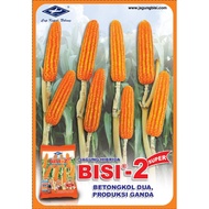 BISI 2 hybrid corn