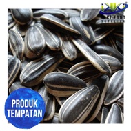 KUACI MATAHARI BY IKKI FOOD