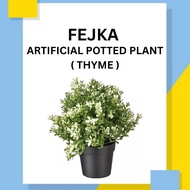 FEJKA Artificial Potted Plant ( Thyme )