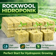 Rockwool Hidroponik Cube for Hydroponic Planting | High Absorption Seedling Starter for Vegetable & 