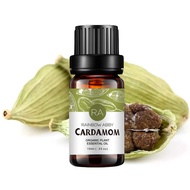 Cardamom Essential Oil 100% Pure Oganic Plant Natrual Cardamom Oil for Diffuser Message Skin Care - 