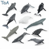 ขายร้อนจำลอง Marine Sea Life Whale Figurines Beluga Humpback Whale Action Figures สัตว์ทะเลรุ่นเครื่องประดับ Toys
