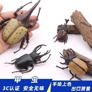 New Product Simulation Beetle Model Toy Insect Unicorn Beetle Beetle Beetle Beetle Children Cognitiv