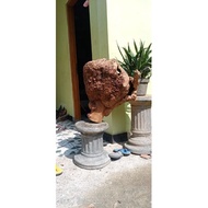 Teak burl Wood material f decoration