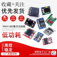 TPA3116D2 Digital Power Amplifier Board Mono 100W Subwoofer Audio Digital Power Amplifier with NE553